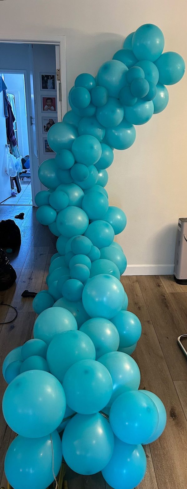 Balloon Garland - Image 7