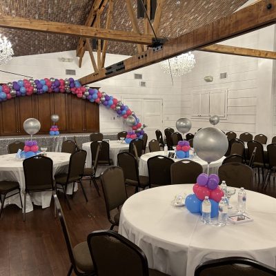 Balloon Arch (Extra Large - 20 Feet) - Image 3